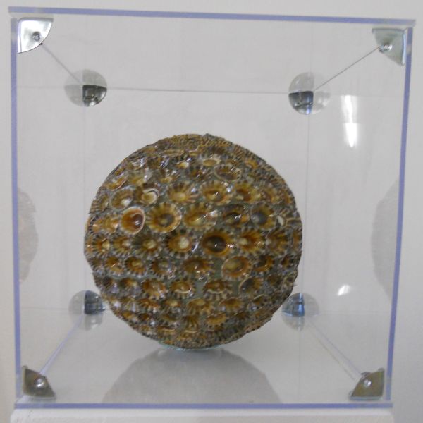 MW 03 (Normale Auflösung)